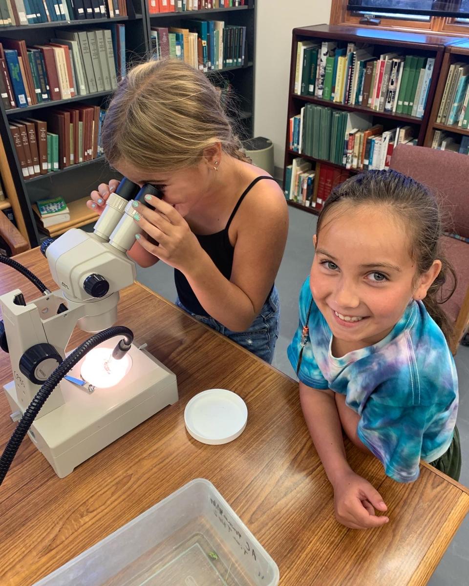 Children using a microscope