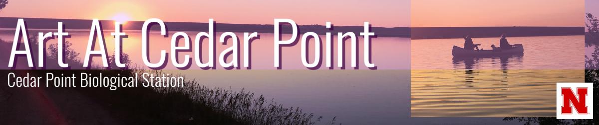 Cedar Point Banner Promo